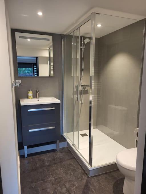 Apartamento Le Bellevue Epagny Metz-Tessy Exterior foto